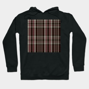 Winter Aesthetic Sorcha 1 Hand Drawn Textured Plaid Pattern Hoodie